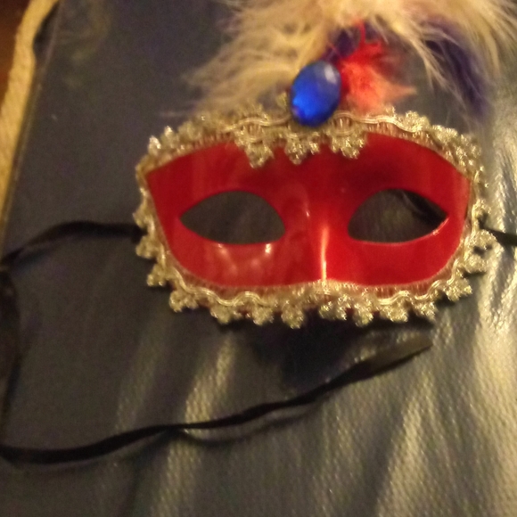 homemade Accessories Mardi Gras Feb 3 224 Homemade Red Mardi Gras